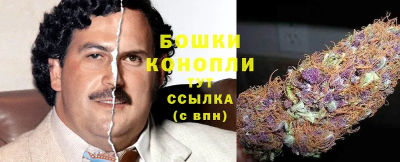 купить закладку  hydra tor  Марихуана THC 21%  Поворино 